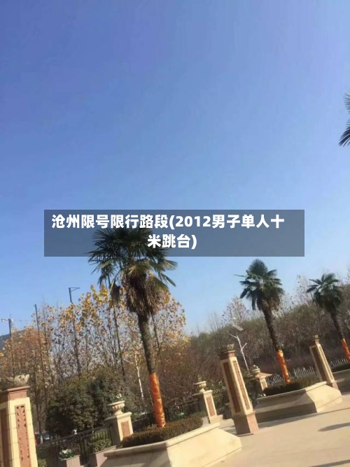 沧州限号限行路段(2012男子单人十米跳台)