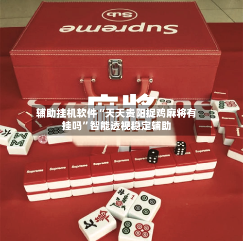 辅助挂机软件“天天贵阳捉鸡麻将有挂吗”智能透视稳定辅助