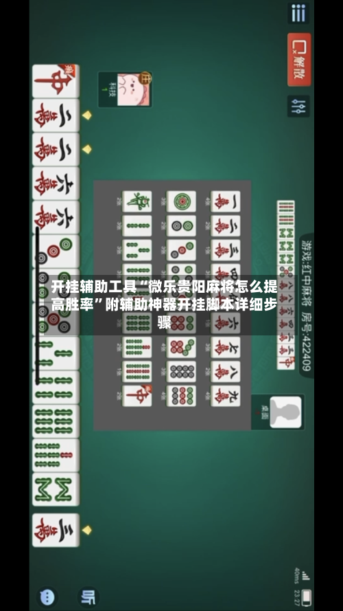 开挂辅助工具“微乐贵阳麻将怎么提高胜率”附辅助神器开挂脚本详细步骤