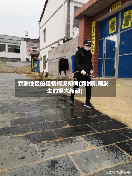 新洲地区的疫情情况如何(新洲刚刚发生的重大新闻)