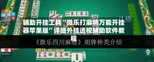 辅助开挂工具“微乐打麻将万能开挂器苹果版”详细外挂透视辅助软件教程