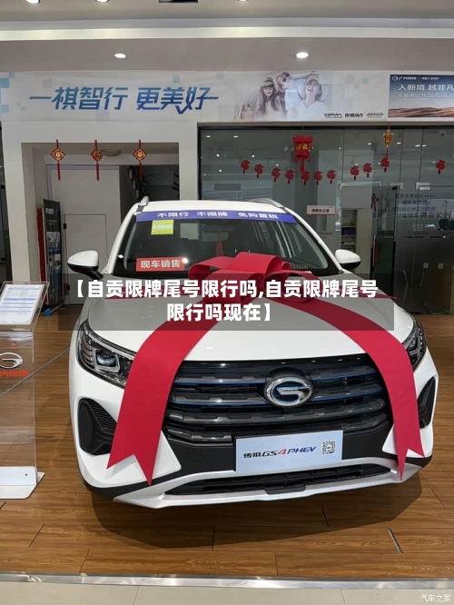 【自贡限牌尾号限行吗,自贡限牌尾号限行吗现在】