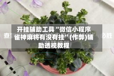 开挂辅助工具“微信小程序雀神麻将有没有挂”(作弊)辅助透视教程