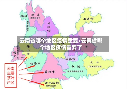 云南省哪个地区疫情重要/云南省哪个地区疫情重要了