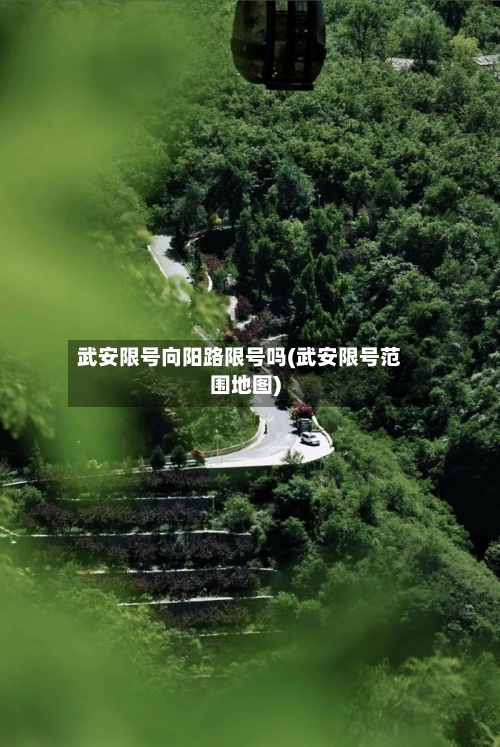 武安限号向阳路限号吗(武安限号范围地图)