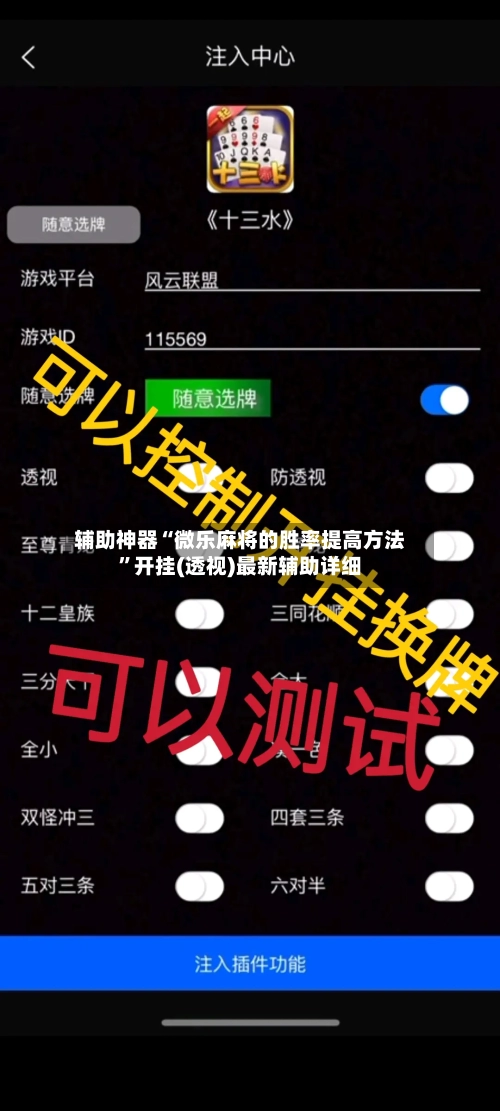 辅助神器“微乐麻将的胜率提高方法”开挂(透视)最新辅助详细