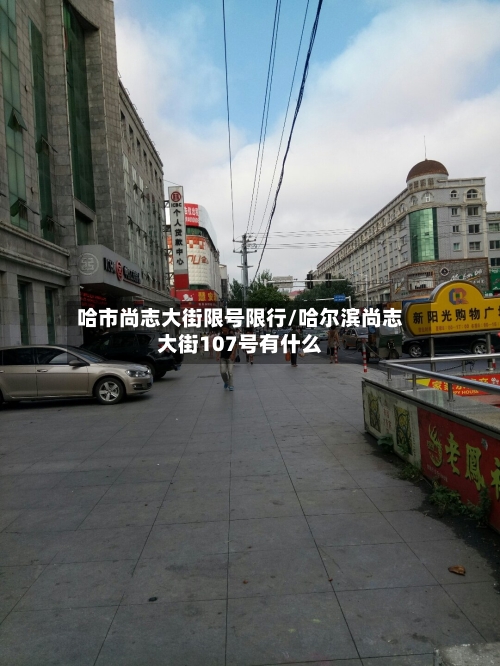 哈市尚志大街限号限行/哈尔滨尚志大街107号有什么