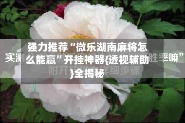 强力推荐“微乐湖南麻将怎么能赢”开挂神器{透视辅助}全揭秘