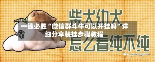 一键必胜“微信群斗牛可以开挂吗”详细分享装挂步骤教程