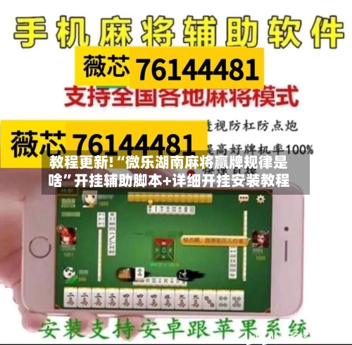 教程更新!“微乐湖南麻将赢牌规律是啥”开挂辅助脚本+详细开挂安装教程