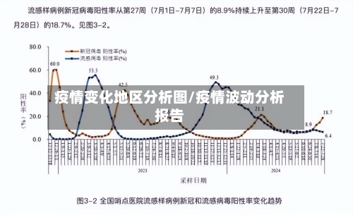 疫情变化地区分析图/疫情波动分析报告