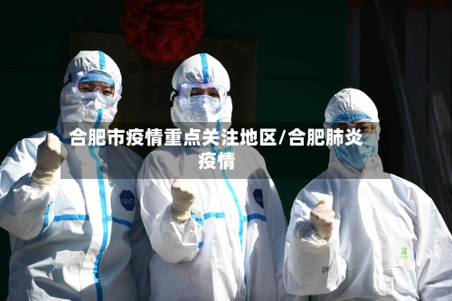 合肥市疫情重点关注地区/合肥肺炎疫情