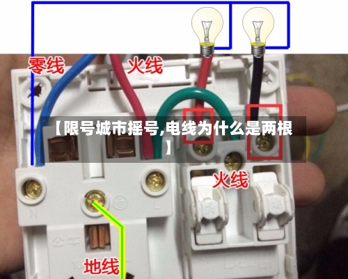 【限号城市摇号,电线为什么是两根】