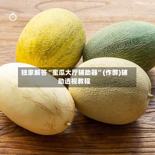独家解答“蜜瓜大厅辅助器”(作弊)辅助透视教程