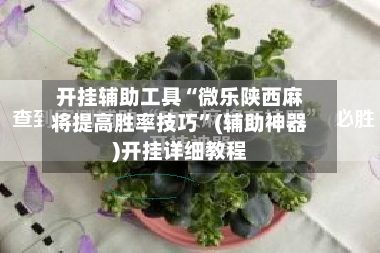 开挂辅助工具“微乐陕西麻将提高胜率技巧”(辅助神器)开挂详细教程