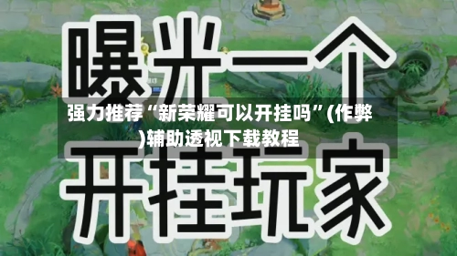 强力推荐“新荣耀可以开挂吗”(作弊)辅助透视下载教程