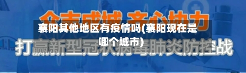襄阳其他地区有疫情吗(襄阳现在是哪个城市)