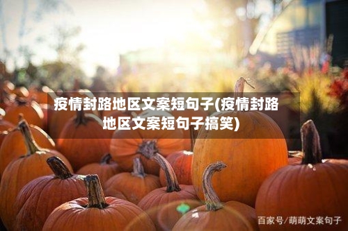 疫情封路地区文案短句子(疫情封路地区文案短句子搞笑)
