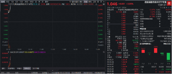 智谱完成314亿港元配售，直线再涨16%！规模最大港股通信息技术ETF华宝（159131）大涨超3%